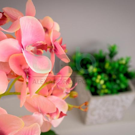 The Floral Suite Aleksandropolis Zewnętrze zdjęcie