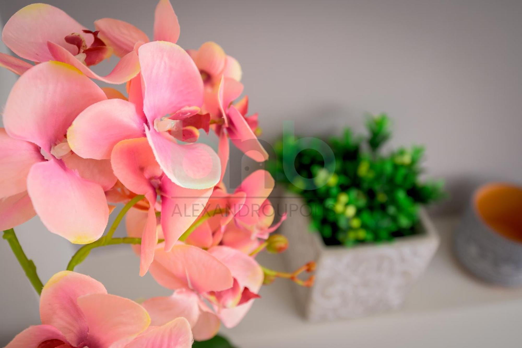 The Floral Suite Aleksandropolis Zewnętrze zdjęcie