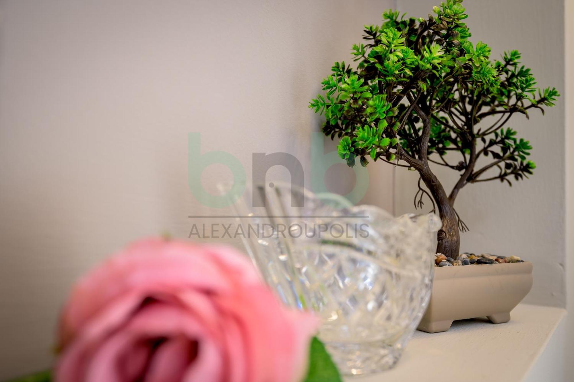 The Floral Suite Aleksandropolis Zewnętrze zdjęcie