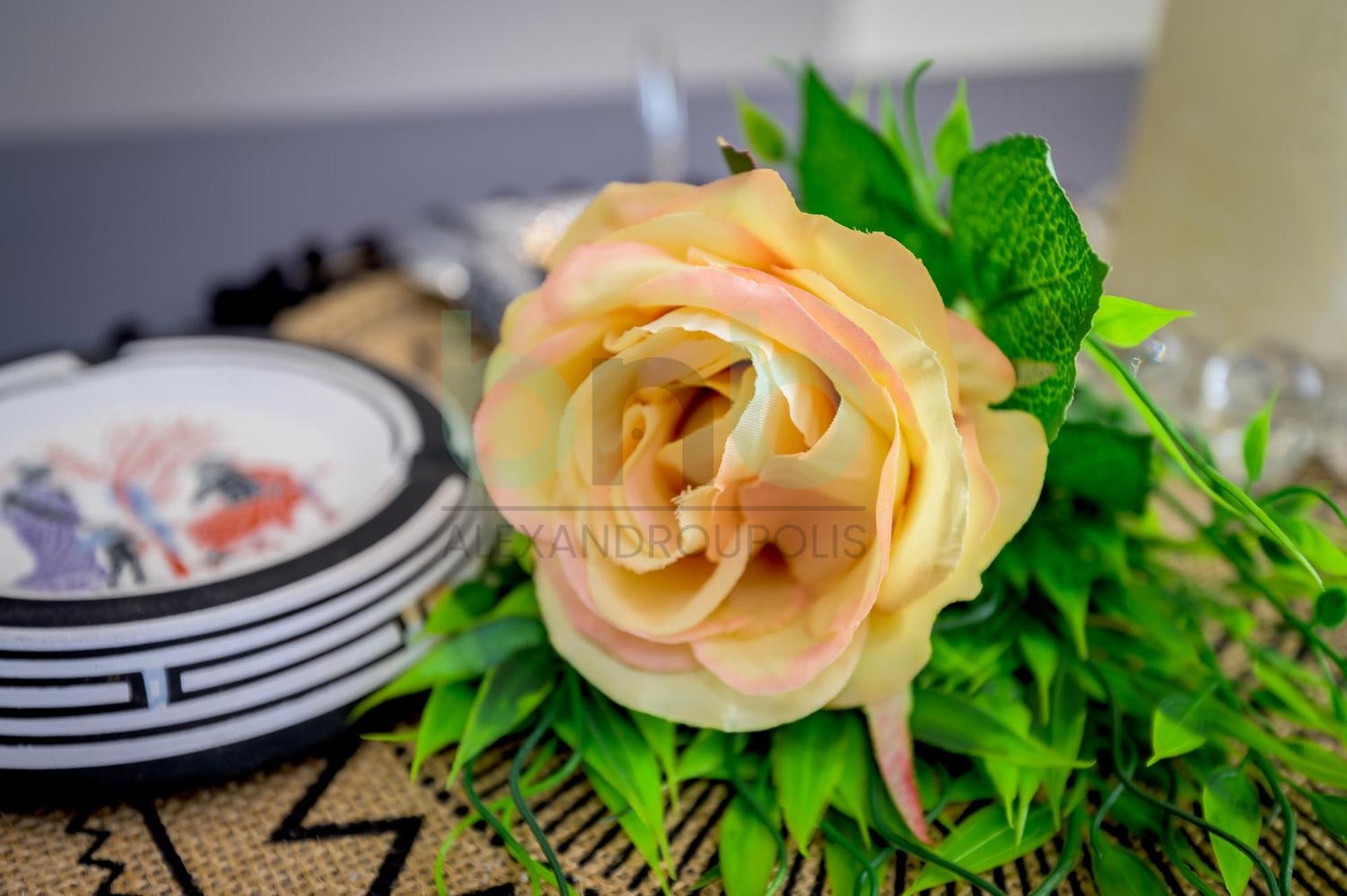 The Floral Suite Aleksandropolis Zewnętrze zdjęcie