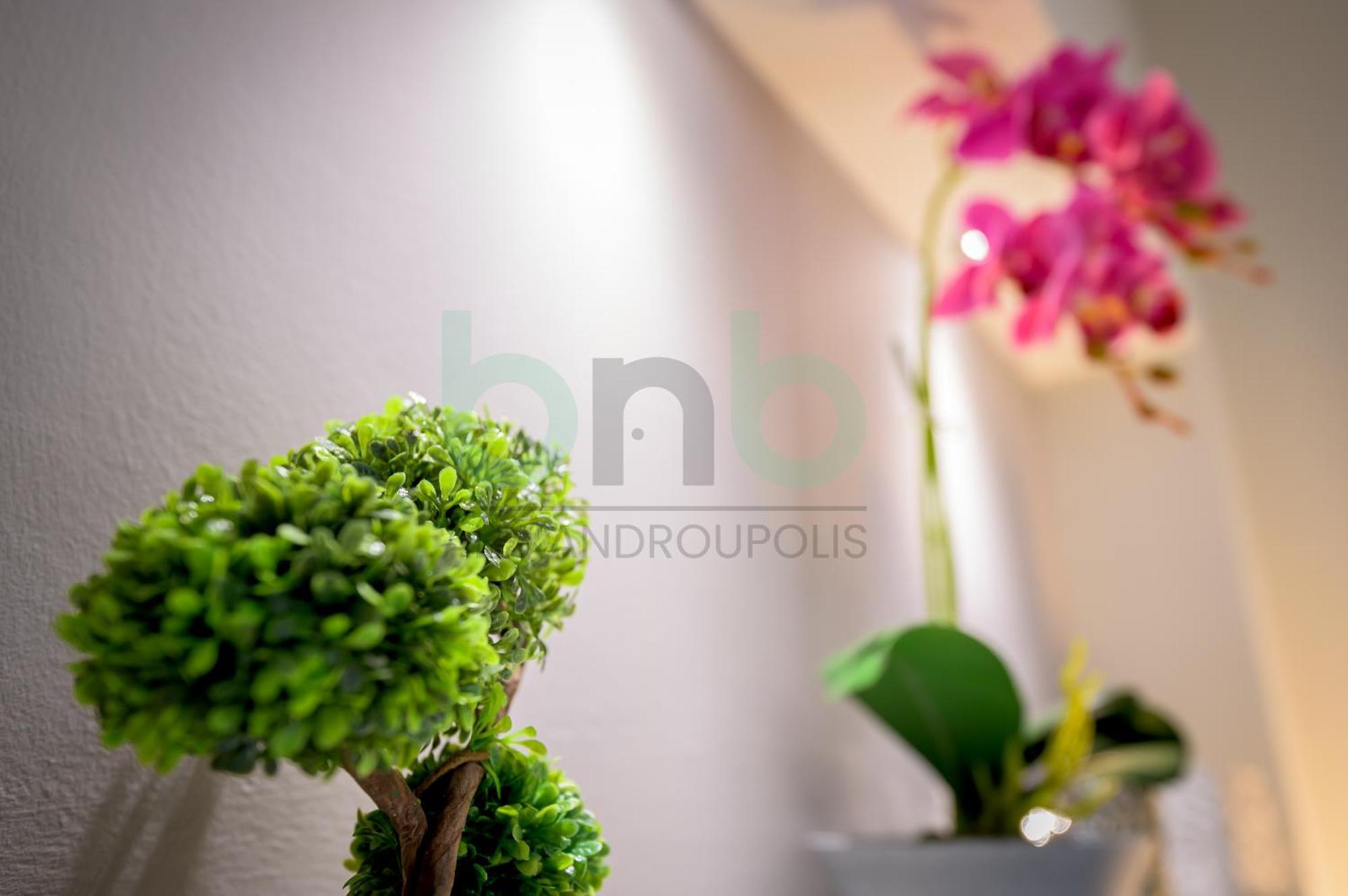 The Floral Suite Aleksandropolis Zewnętrze zdjęcie